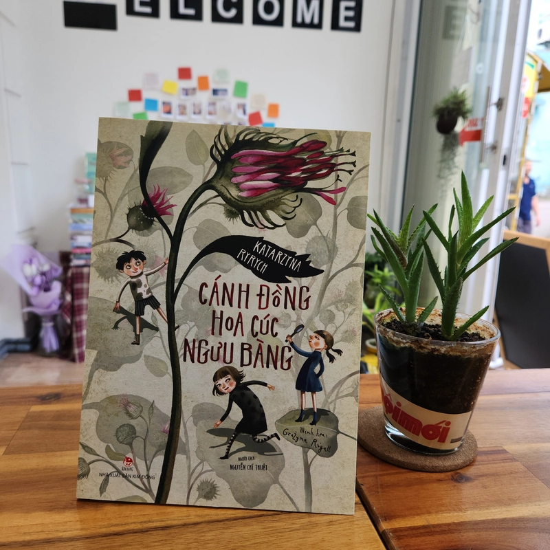 Cánh đồng hoa cúc ngưu bàng - Katarzyna Ryrych 453107