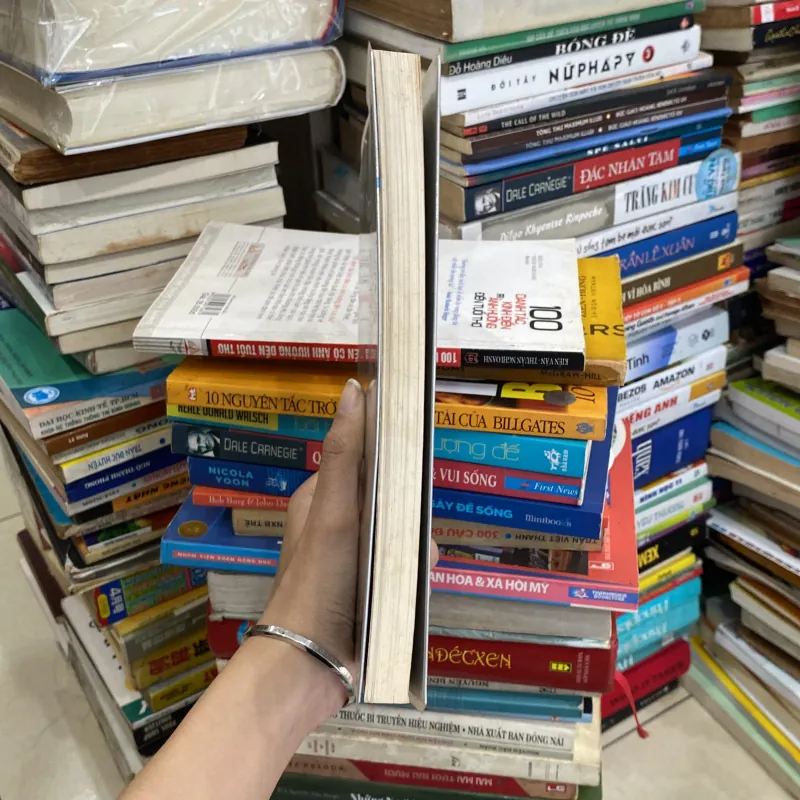 Sao Biển Và Nhện♟️ 750115