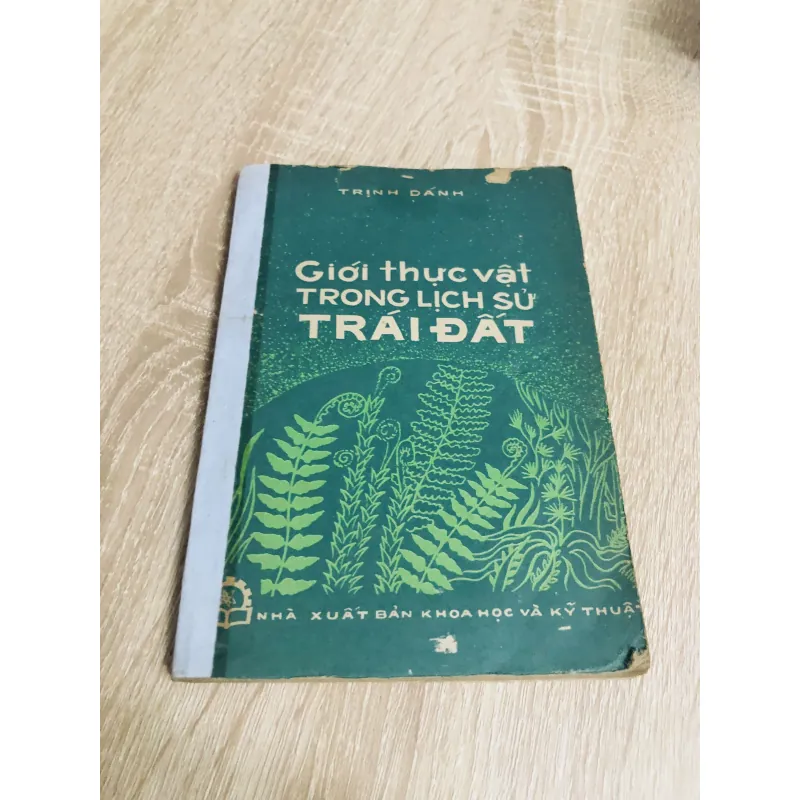GIỚI THỰC VẬT TRONG LỊCH SỬ TRÁI ĐẤT 956903