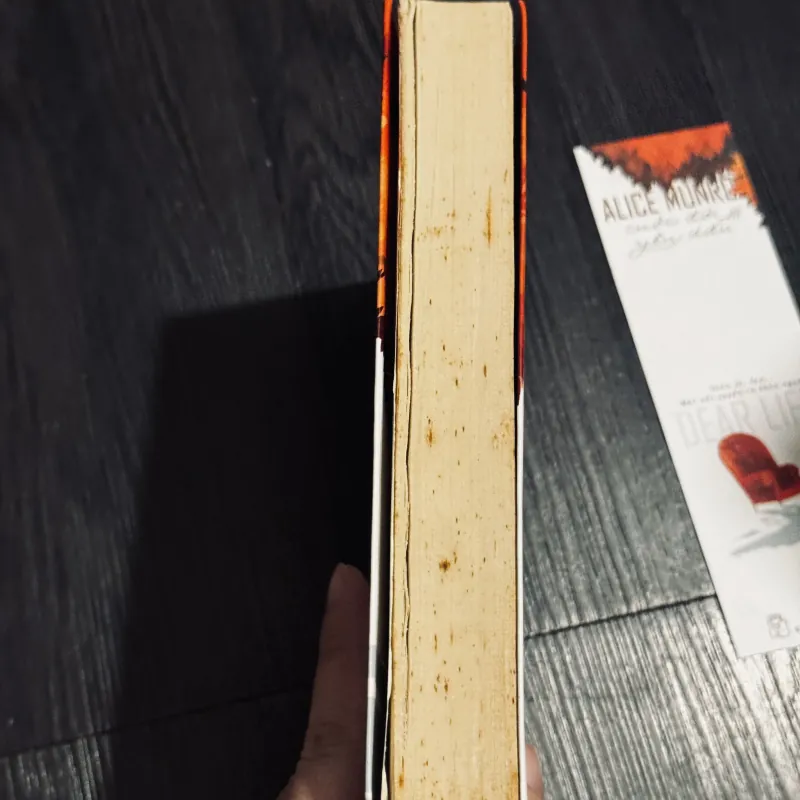 Cuộc đời yêu dấu 745279