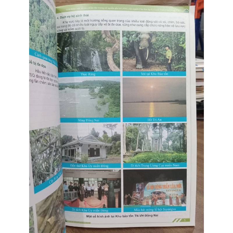 Khu dự trữ sinh quyển Đồng Nai: Giới thiệu một số sản phẩm đặc trưng có nguồn gốc từ lâm sản ngoài gỗ của người Chơ Ro - Ấp Lý Lịch - Vĩnh Cửu - Đồng Nai 519059