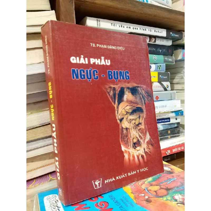 GIẢI PHẪU NGỰC BỤNG - PHẠM ĐĂNG DIỆU 176846