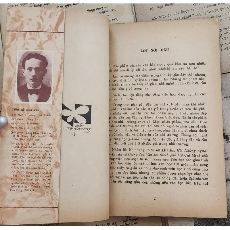 TỐ TÂM - Tiểu thuyết đầu tiên của Việt Nam viết bằng chữ Quốc Ngữ 726799