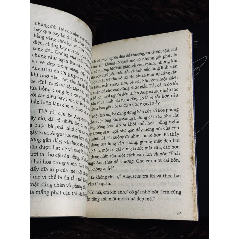 Combo demian + Huệ tím 1017660