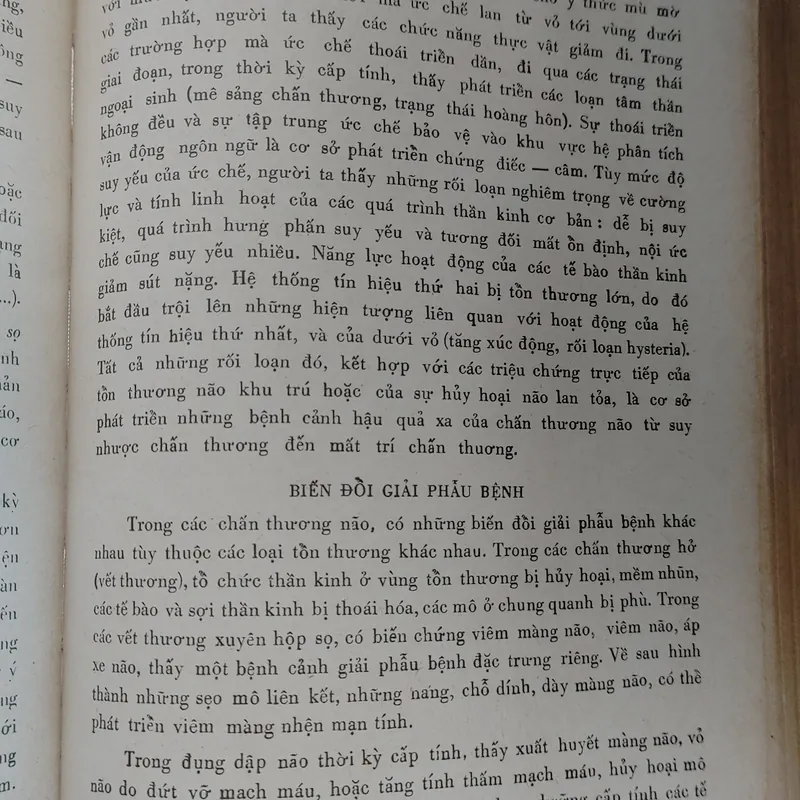 TÂM THẦN HỌC  625388