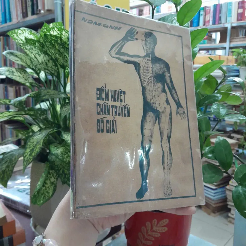 ĐIỂM HUYỆT CHÂN TRUYỀN ĐỒ GIẢI - NAM ANH 748349