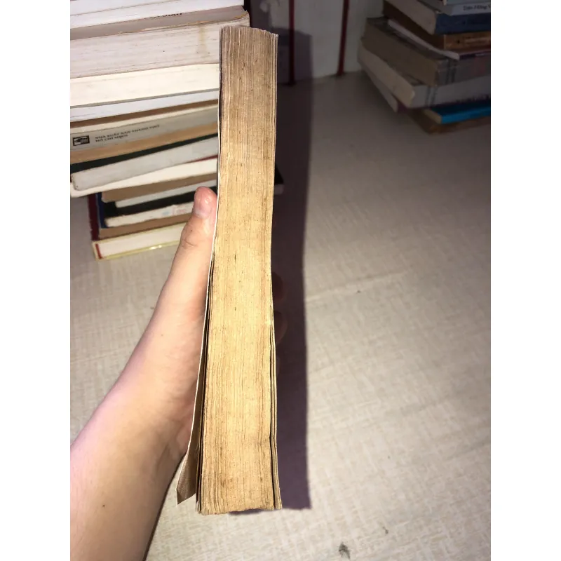 Trà Hoa Nữ-Alexandre Dumas 958335