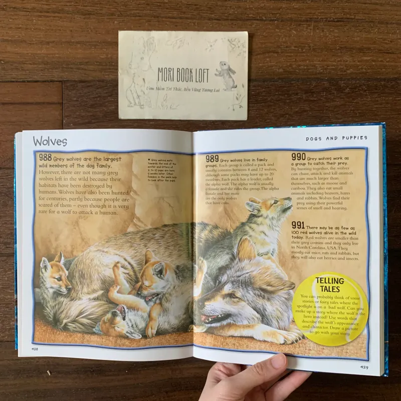Sách ngoại văn Over 1000 Fantastic Animal Facts, Used, Bìa mềm, Siêu dày 578057