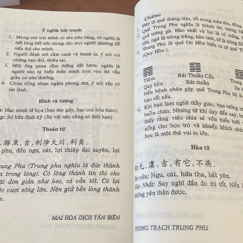 Đọc hiểu kinh dịch_Mai hoa dịch số_Kinh dịch giải nghĩa 527794