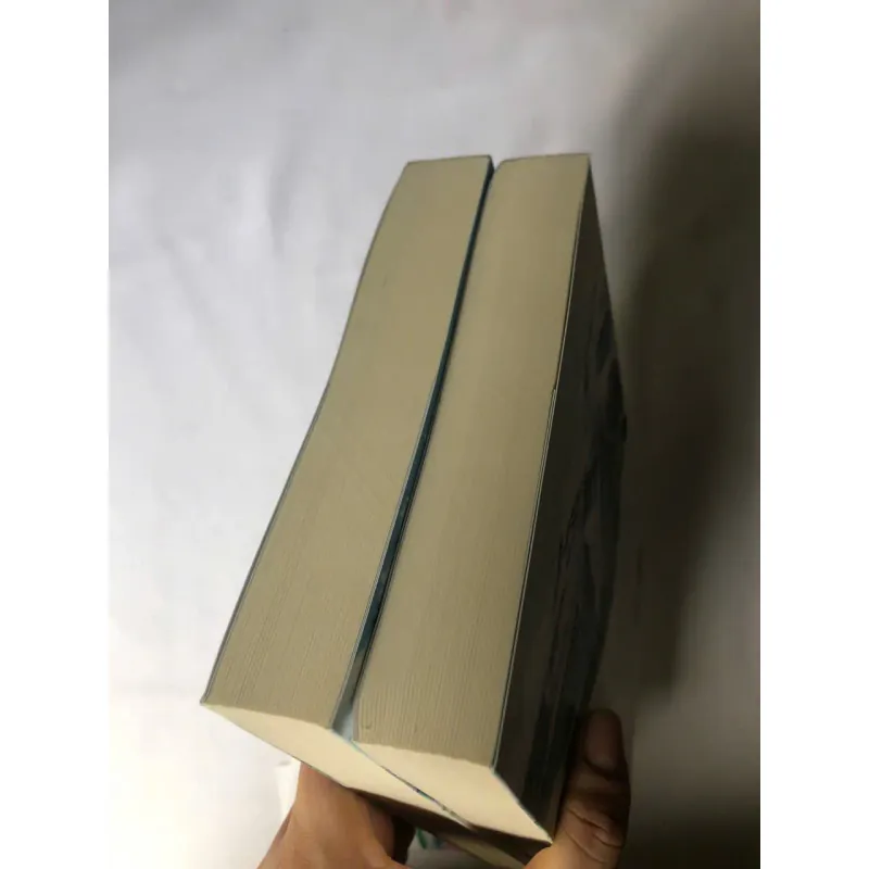 Trọn bộ 2 tập Đánh Cắp Trái Tim Anh - Dung Quang 731141