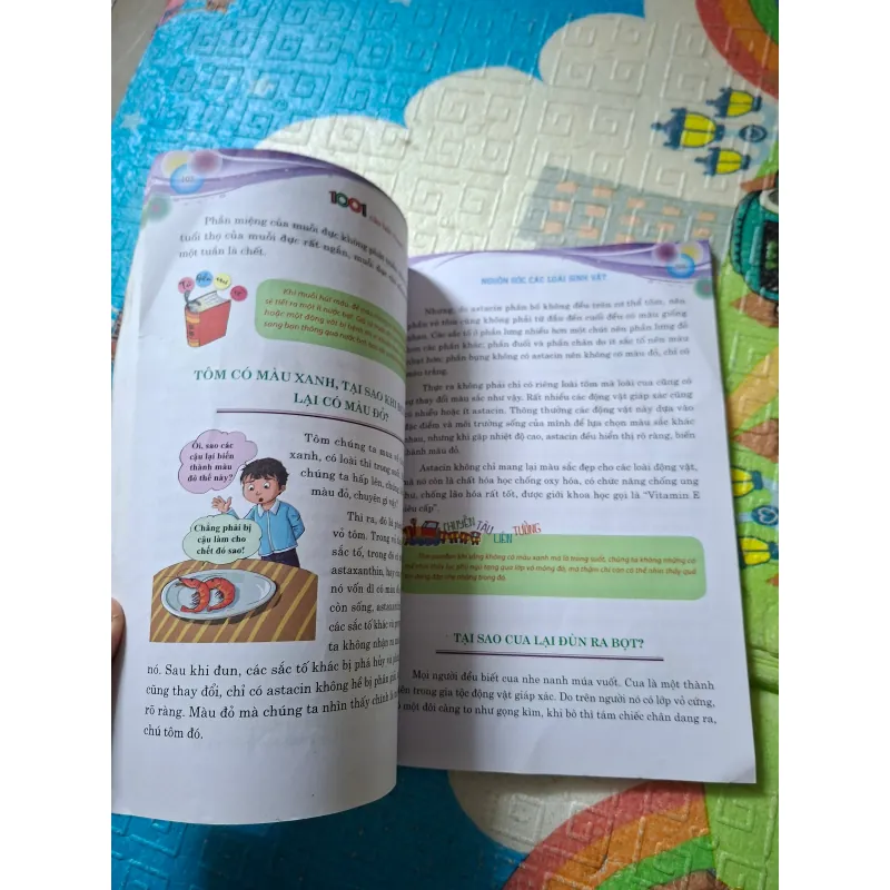 1001 Câu Hỏi Vì Sao - Nguồn Gốc Các Loài Sinh Vật 799951