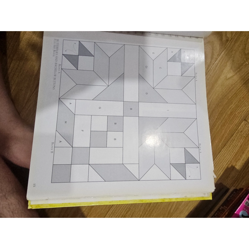 101 full size Quit blocks and borders (bìa cứng, in màu)
150k 501066