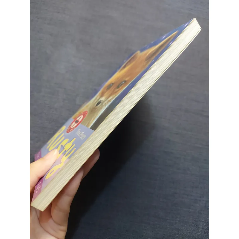 RUSTY – THE INJURED FOX CUB 931175