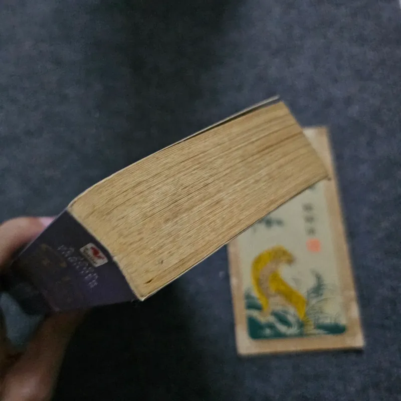 The Enemy - Lee child 740731