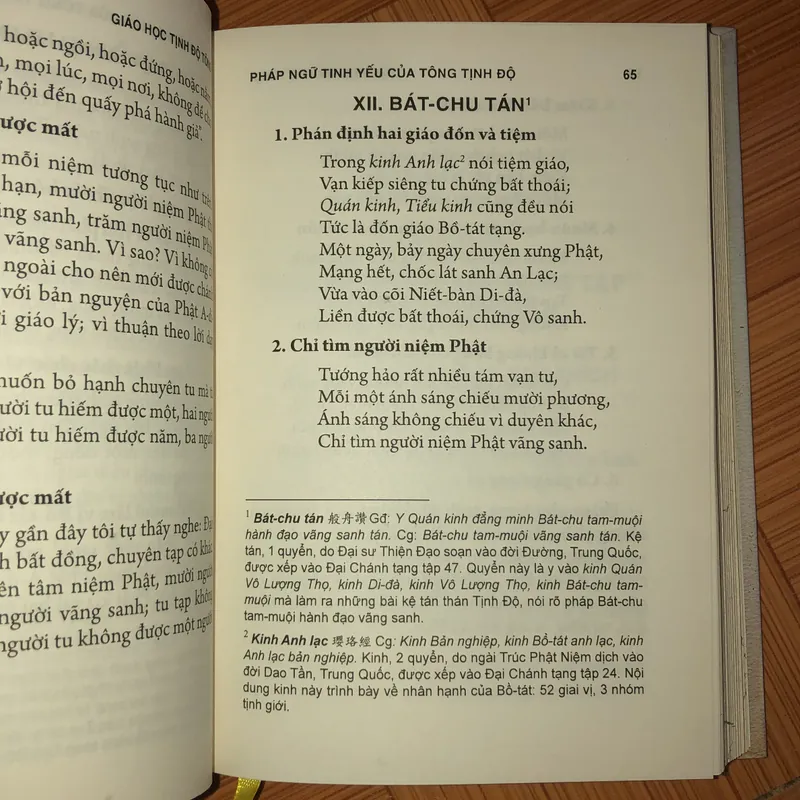 Giáo học Tịnh Độ Tông  604997