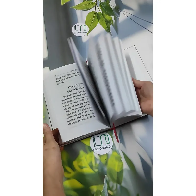 Đại Thừa Vô Lượng Thọ Trang Nghiêm Thanh Tịnh Bình Đẳng Giác Kinh - HT. Thích Đức Niệm 750812