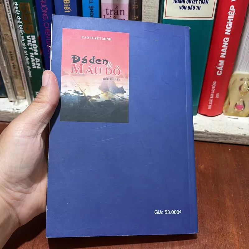 II Tiểu Thuyết: Đá Đen Và Máu Đỏ - Cao Tuyết Minh - 2013 785653