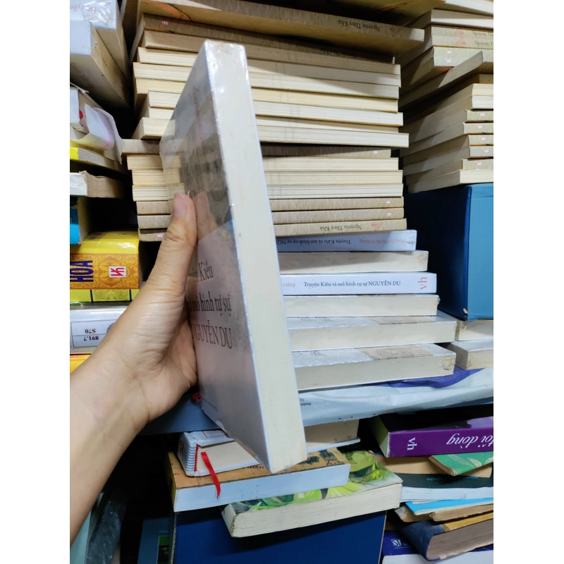 Truyện Kiều và mô hình tự sự Nguyễn Du 446784