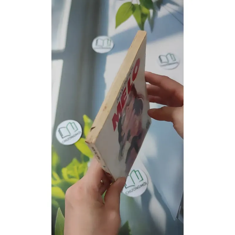 [MIỄN PHÍ BỌC SÁCH] [XƯA] Mê Lộ (1989) - Phạm Thị Hoài 997663