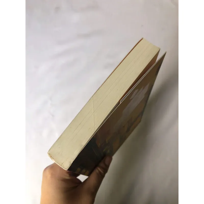 Sách đã qua sử dụng Cô Gái Brooklyn - Guillaume Musso 735209