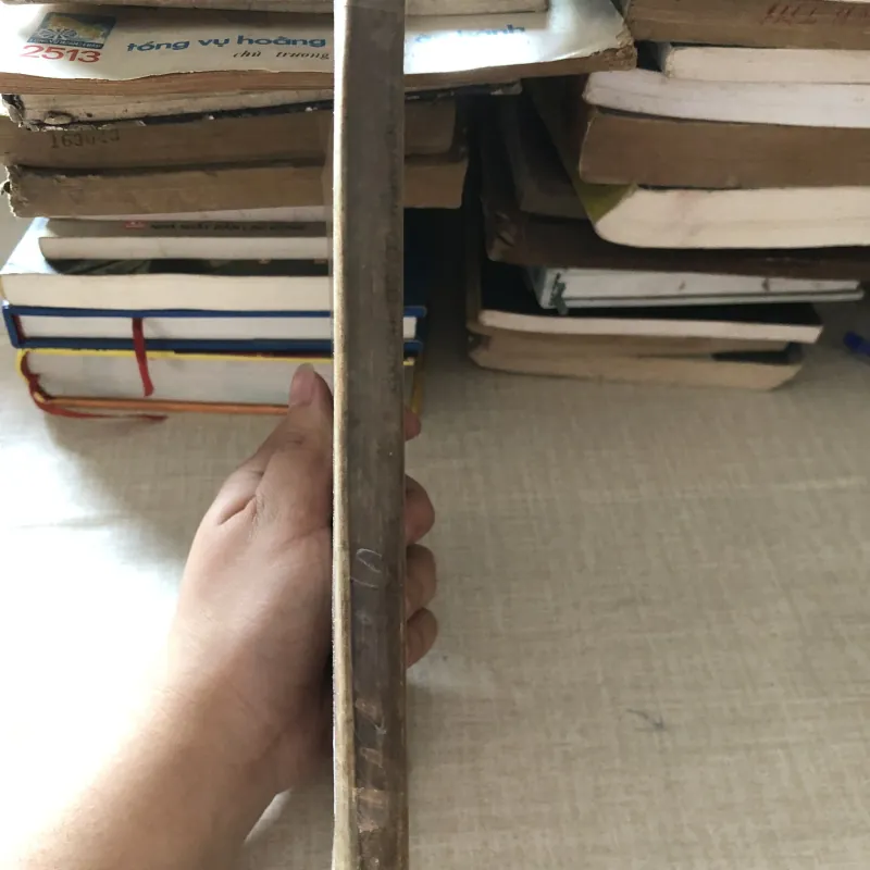 Khái niệm cơ sở trong khoa học tuổi thọ tập II 975866