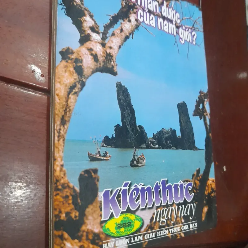 KIẾN THỨC NGÀY NAY số 282 ngày 1.06.1998 593640