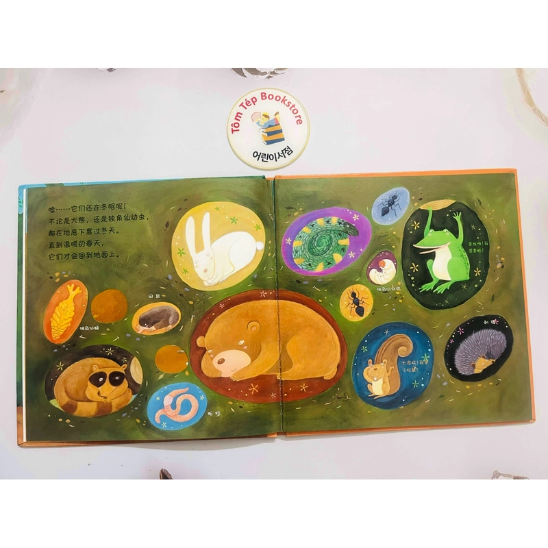 Picturebook bìa cứng tiếng Trung- chủ đề tự nhiên 466257