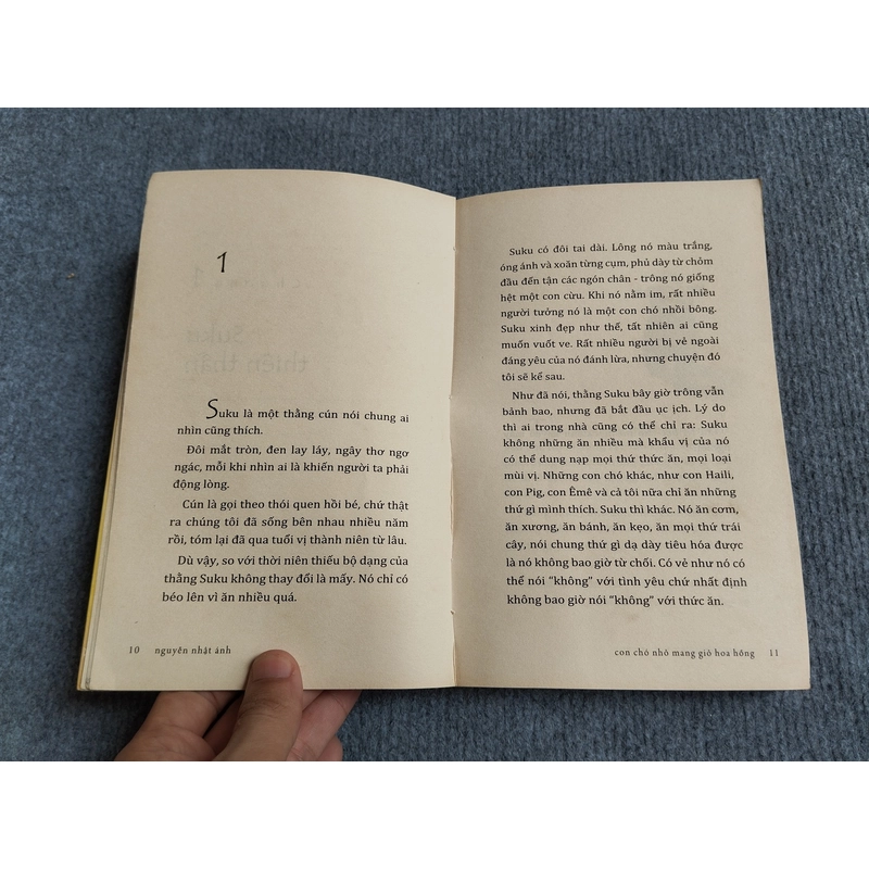 CON CHÓ NHỎ MANG GIỎ HOA HỒNG - NGUYỄN NHẬT ÁNH 552760