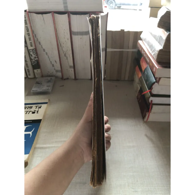 Kinh Mục Liên 992373