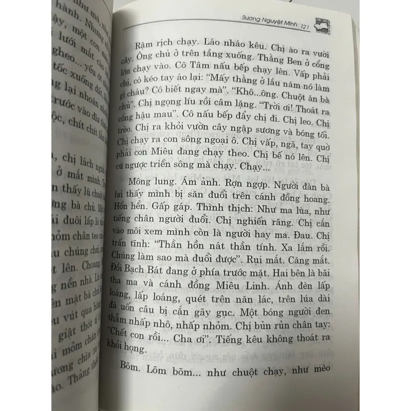 Đi qua đồng chiều – Sương Nguyệt Minh 991839