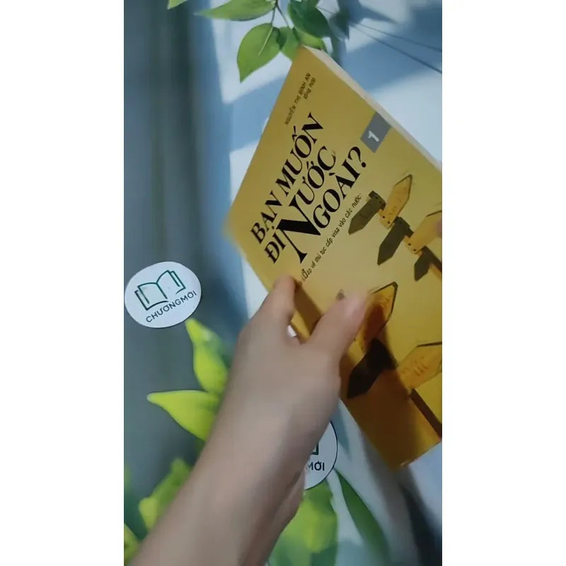 Bạn Muốn Đi Nước Ngoài? (Hỏi & Đáp Về Thủ Tục Cấp Visa Vào Các Nước 707254