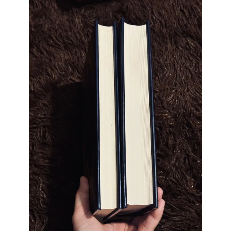 Combo không gia đình + đỉnh gió hú (bìa cứng) 998283