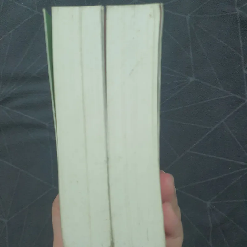 "Mười năm thương nhớ" - Thư Hải Thương Sinh 589990