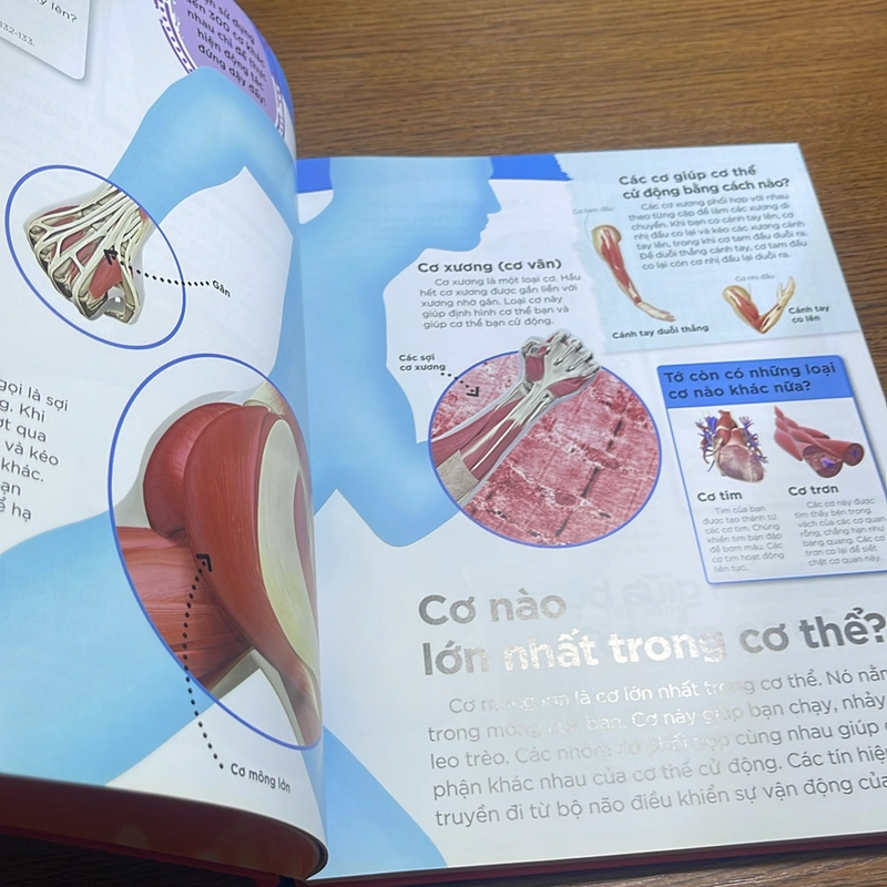 Tại sao máu lại đỏ? DK 508275