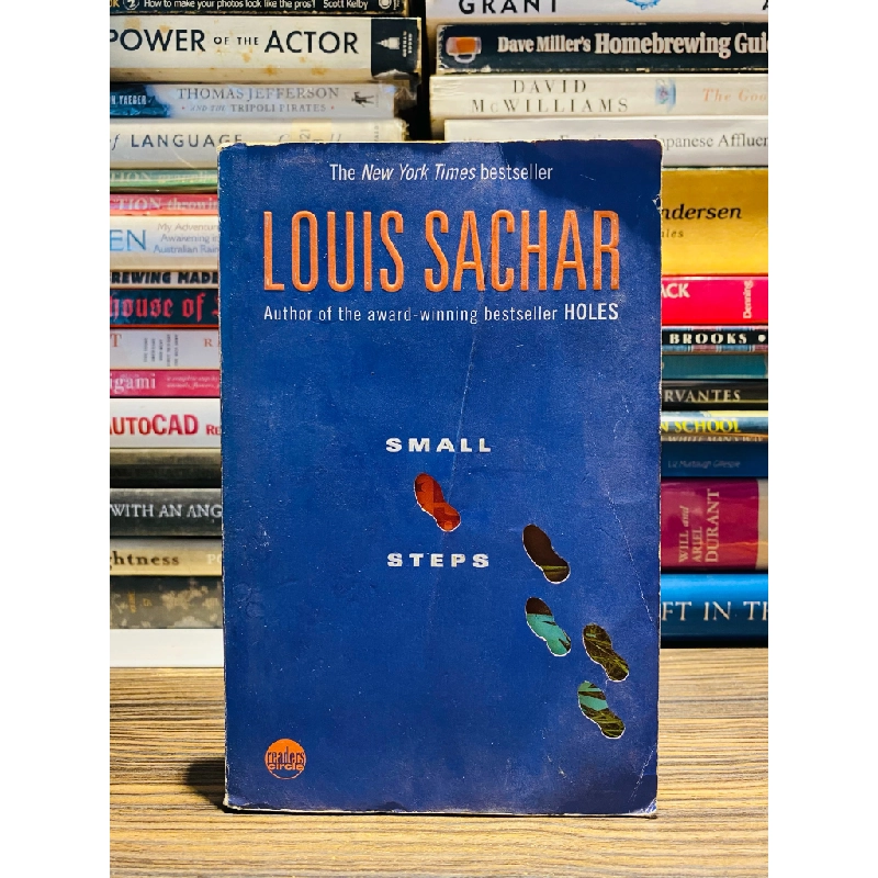 SMALL STEPS - LOUIS SACHAR 140294