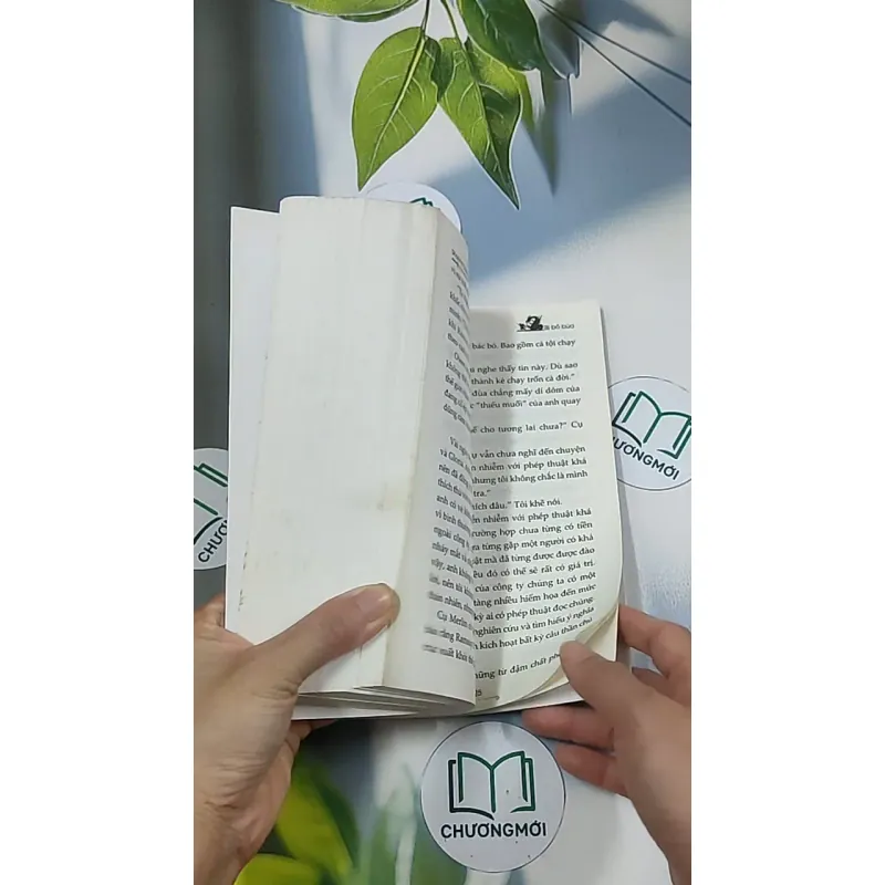 Bị bỏ bùa - Shanna Swendson 688690