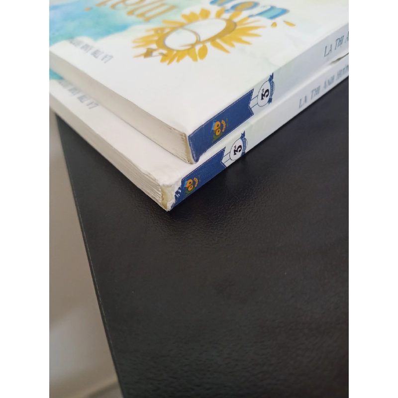 Ô Mai Ướp Nắng (2017) - La Thị Ánh Hường Mới 90% HCM.ASB0203 913325