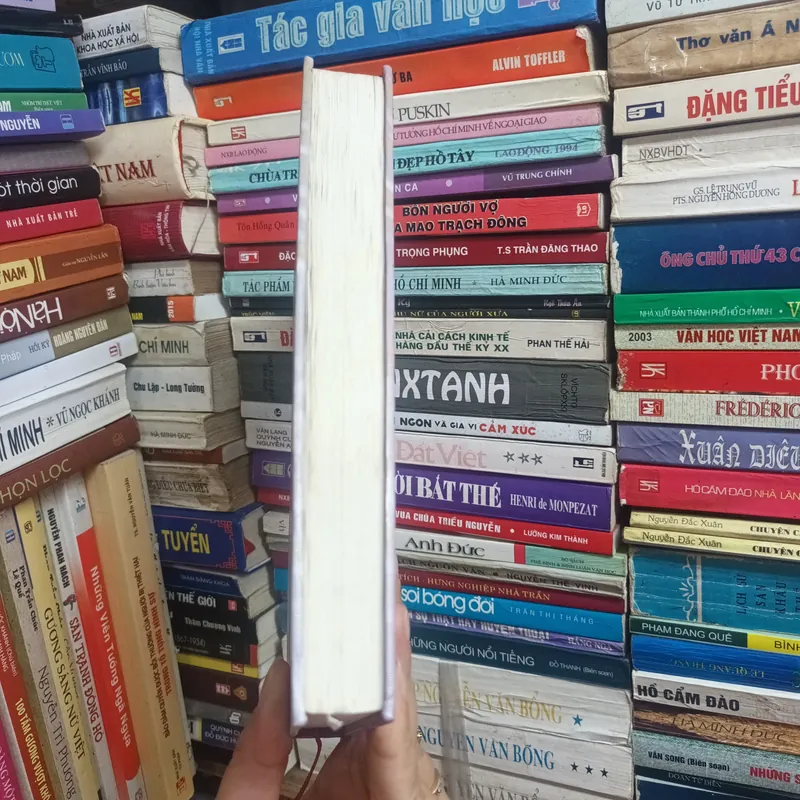 Thơ Trữ Tình Thế Giới Thế Kỷ XX- Bằng Việt Tuyển Dịch 607624