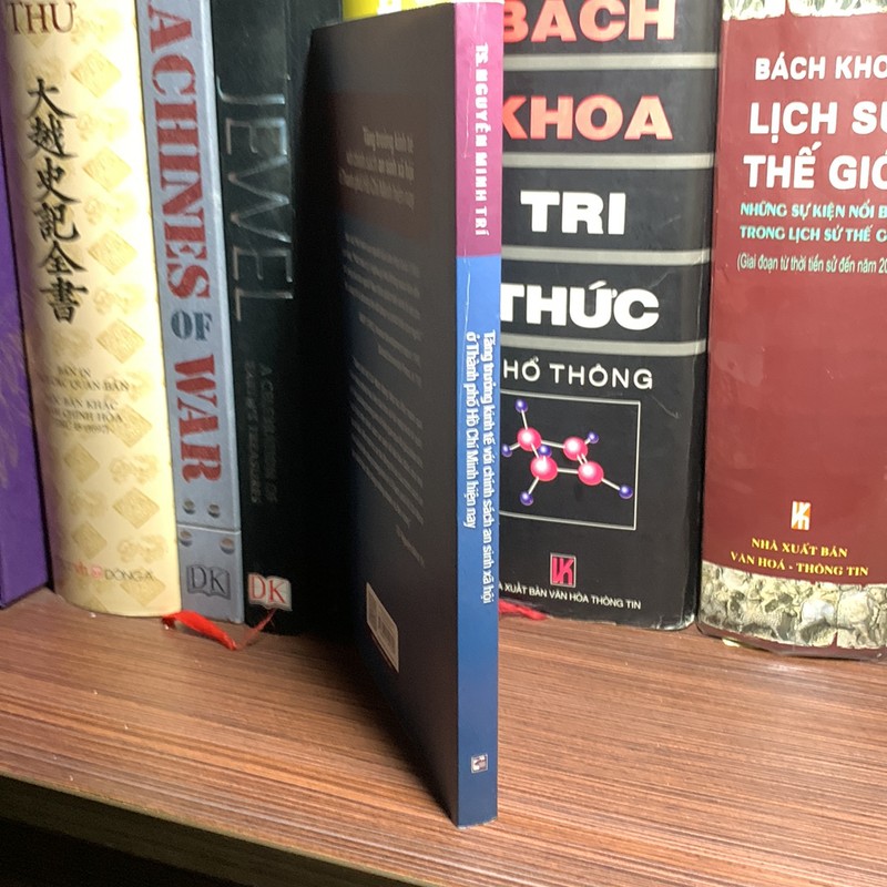 Tăng Trưởng kinh tế vố chính sách an sinh XH ở Tp Hồ Chí Minh hiện nay 187448