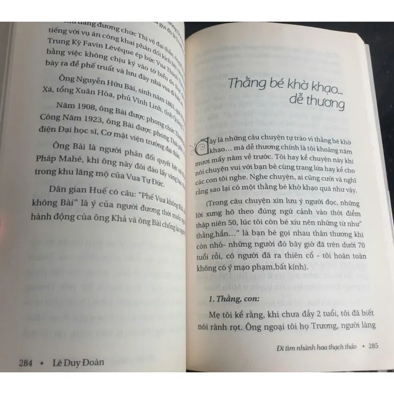 Đi Tìm Nhành Hoa Thạch Thảo 694440