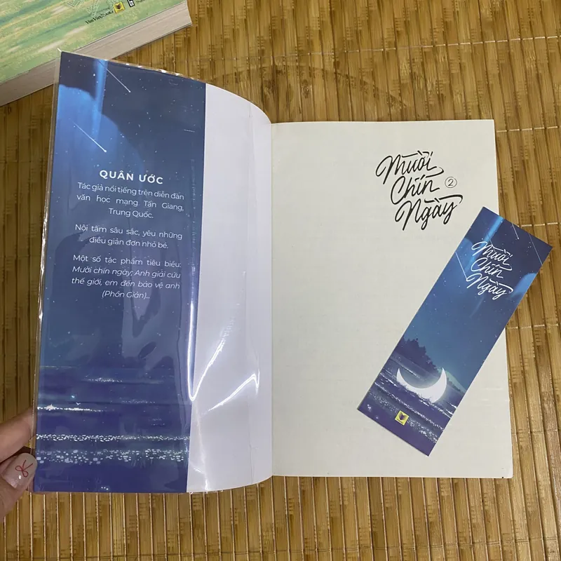 Mười chín ngày 708033