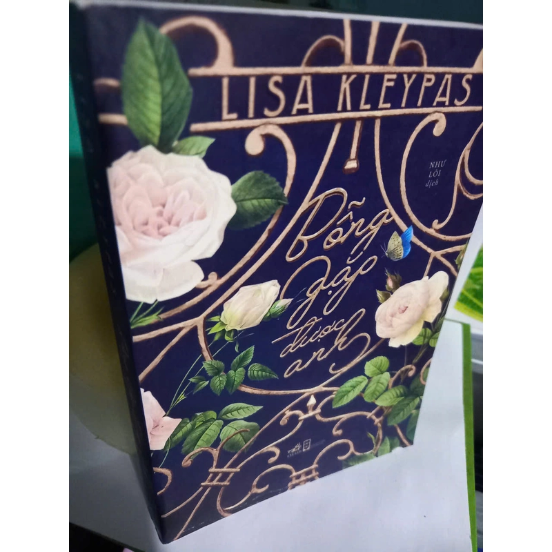 bỗng gặp được anh 464311