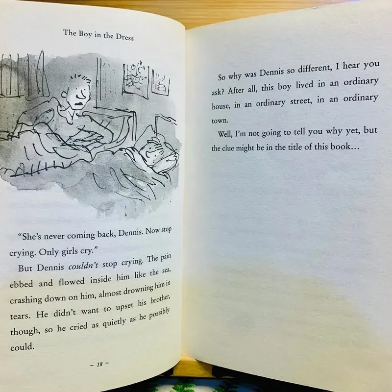 [Sách tiếng Anh 2hand] Like new 90% - The Boy in the Dress – David Walliams 572946
