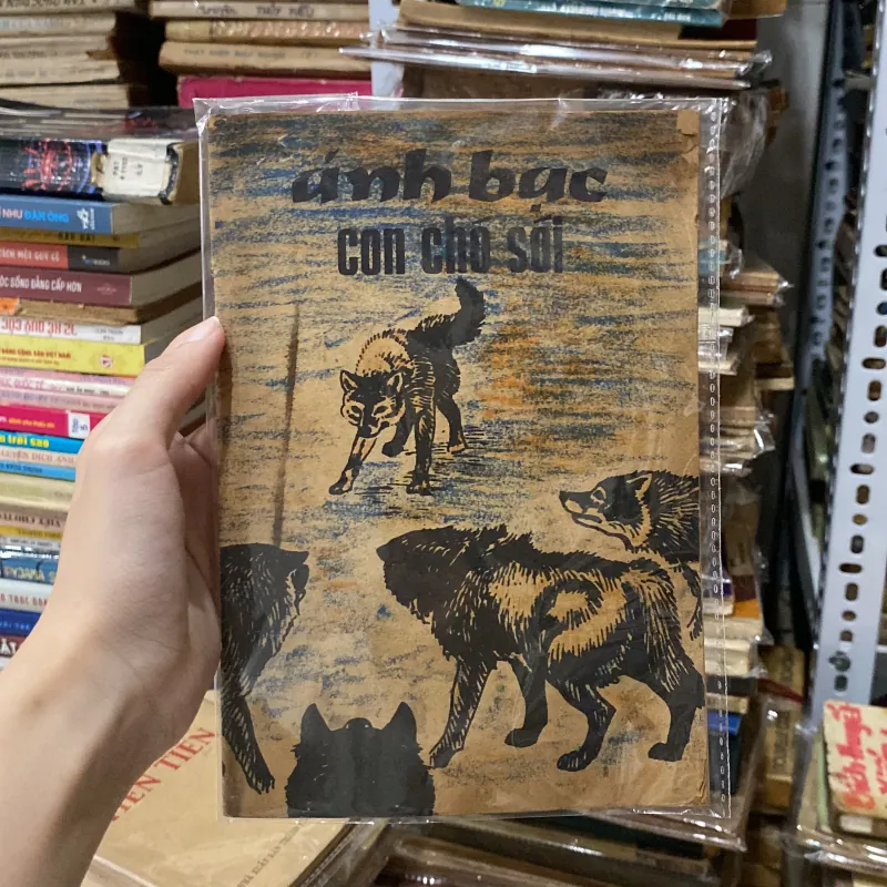 Ánh Bạc Con Chó Sói♟️ 934953