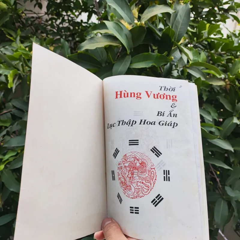 Thời Hùng Vương & Bí Ẩn Lục Thập Hoa Giáp - Nguyễn Vũ Tuấn Anh 722522