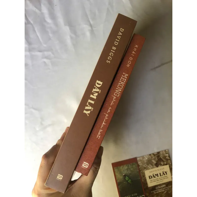 Mekong Phù Sa Phiêu Bạt - Khải Đơn & Đầm Lầy - David Biggs 1007165