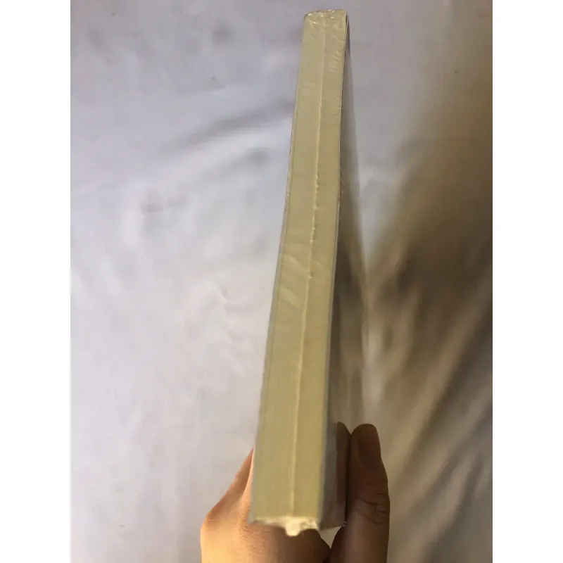 Lịch Sử Phật Giáo - Andrew Skilton 747382