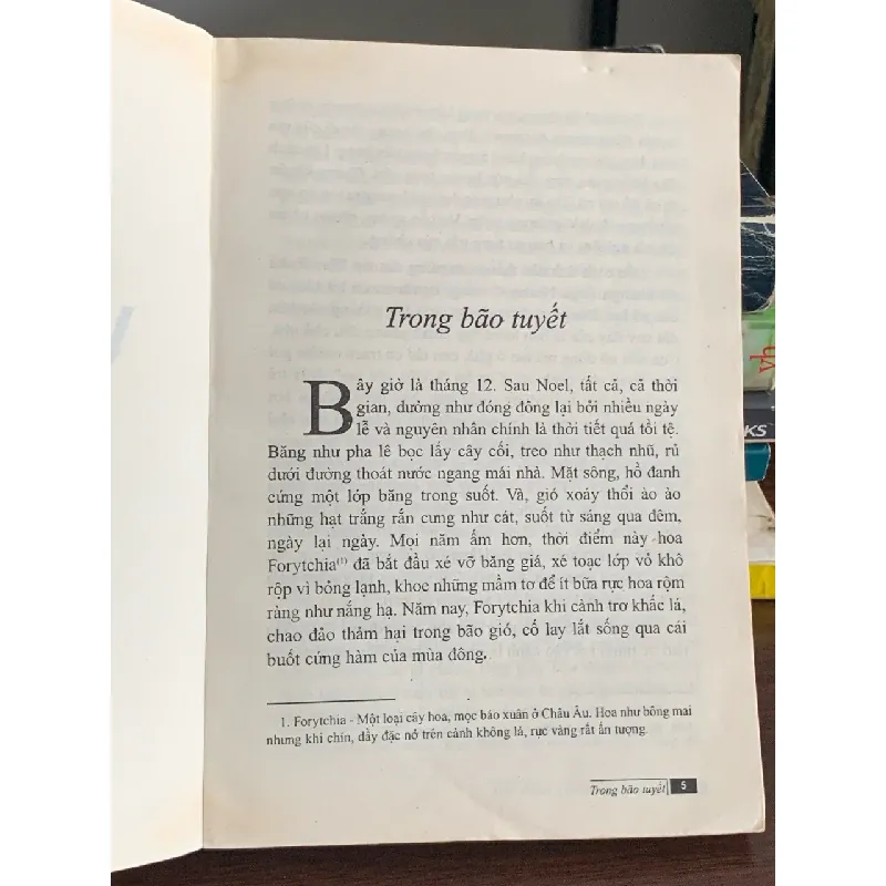 Vàng xưa – Nguyễn Văn Thọ 560720