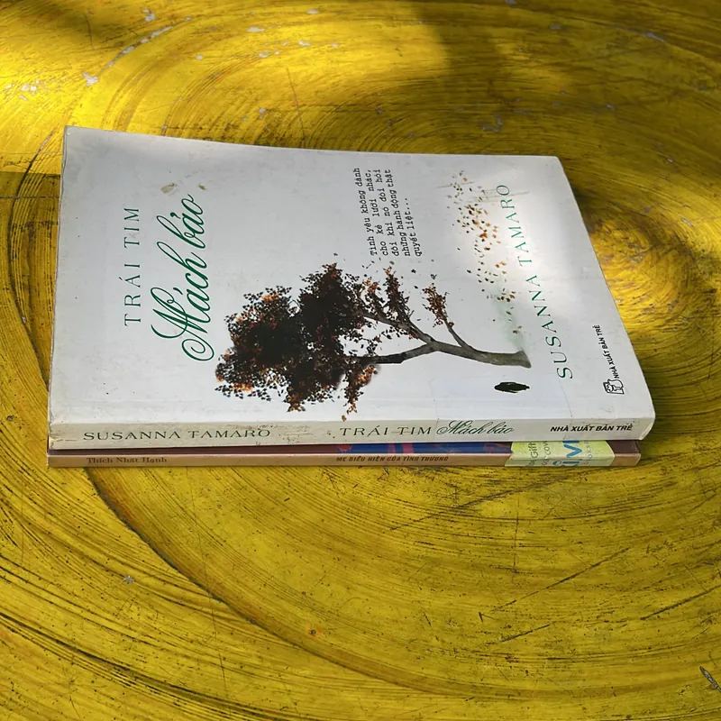 COMBO TRÁI TIM MÁCH BẢO & MẸ BIỂU HIỆN CỦA TÌNH THƯƠNG 735754