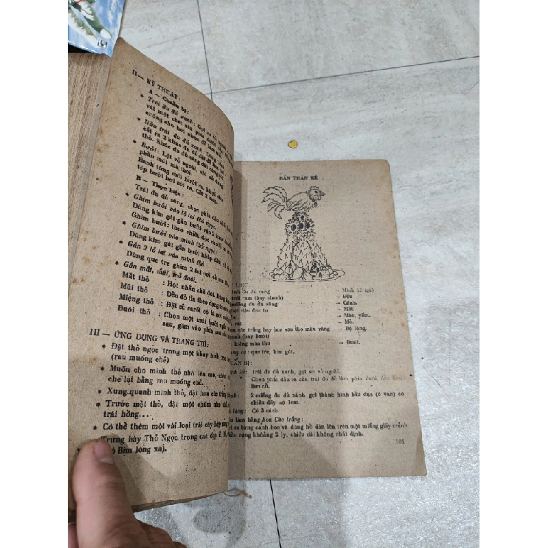 Kỹ Thuật Trang Trí Hoa Quả & Tỉa Rau Củ - Nguyễn Thị Thanh Thủy, Trần Thanh Tâm, Lê Minh Bảo Toàn 505479
